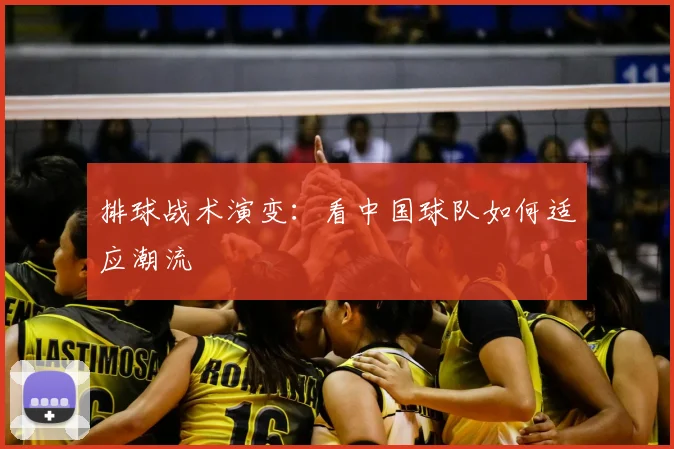 排球战术演变：看中国球队如何适应潮流
